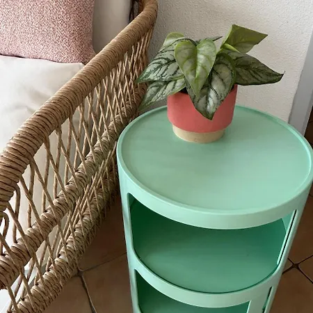 Résidence La Pinède - Flores Apartamento